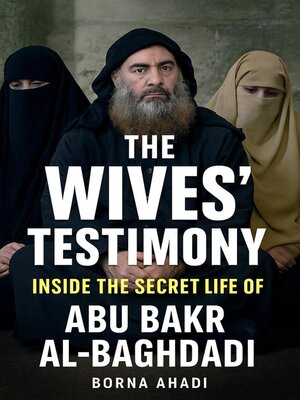 cover image of The Wives' Testimony